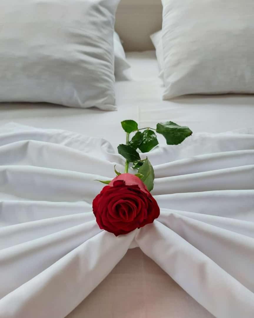 Apartmán Vila Stupende Sarandë Pokoj fotografie